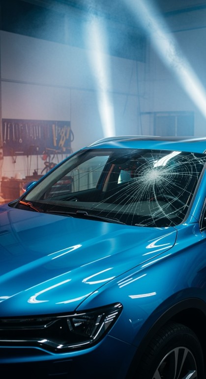 shutterstock_2682214235